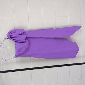 Ashley Lauren size 0 Orchid Dress.   .5